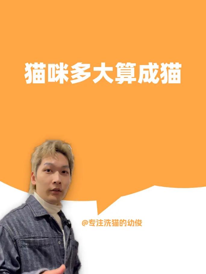 猫咪多大算成猫,猫多大就是成猫了-第2张图片-后鲨宠物 猫咪多大算成猫,猫多大就是成猫了-第2张图片-后鲨宠物