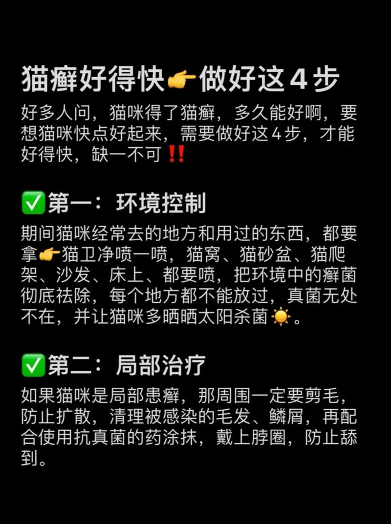 猫咪猫癣怎么治,猫咪猫癣怎么治好得快-第2张图片-后鲨宠物 猫咪猫癣怎么治,猫咪猫癣怎么治好得快-第2张图片-后鲨宠物