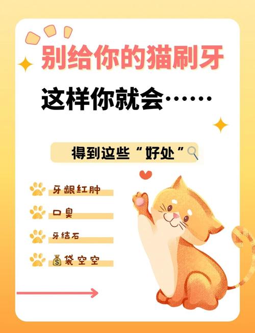 猫咪可以刷牙吗_猫咪刷牙吗?-第2张图片-后鲨宠物 猫咪可以刷牙吗_猫咪刷牙吗?-第2张图片-后鲨宠物