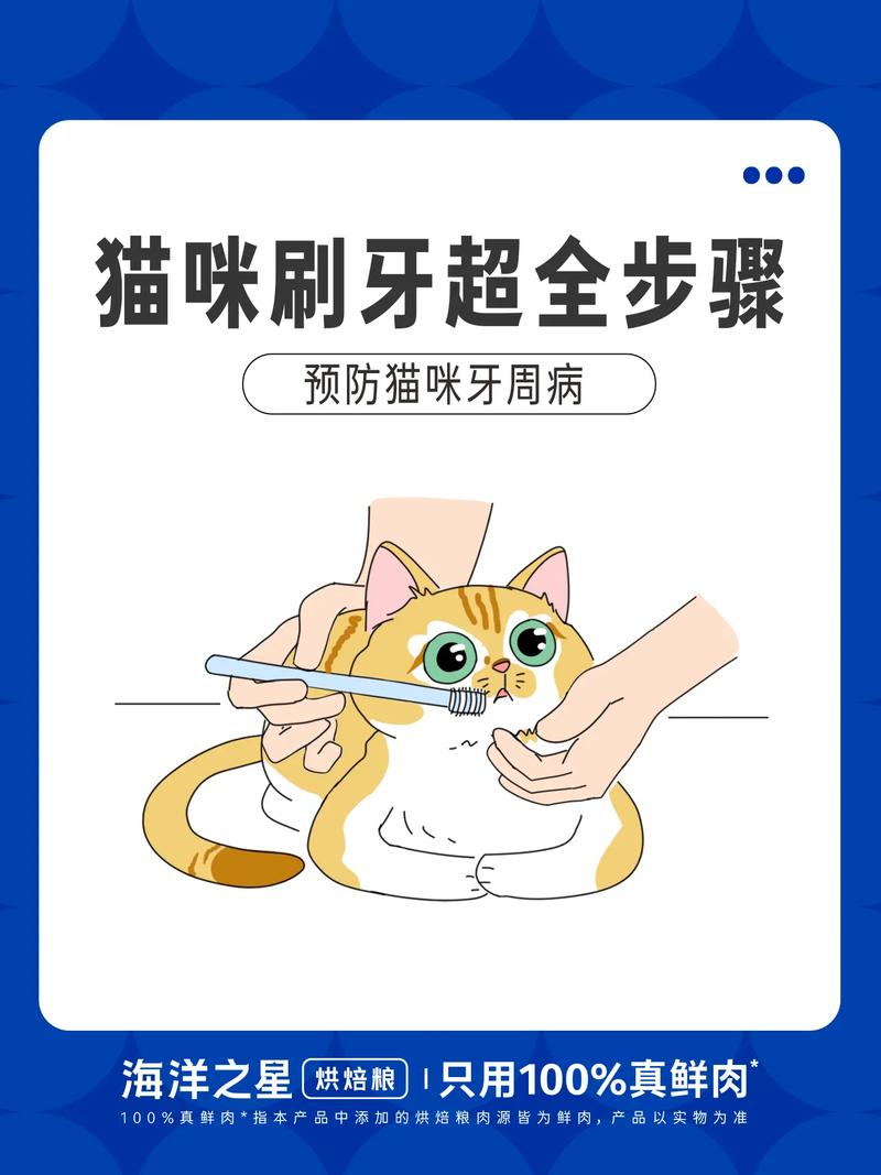 猫咪可以刷牙吗_猫咪刷牙吗?-第3张图片-后鲨宠物 猫咪可以刷牙吗_猫咪刷牙吗?-第3张图片-后鲨宠物