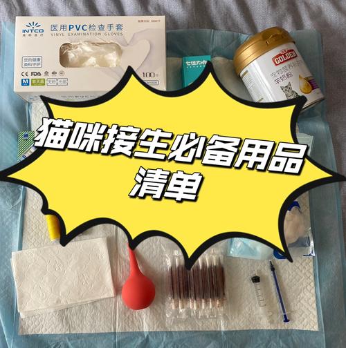 猫咪生产需要注意什么_猫咪生产需要注意什么?-第4张图片-后鲨宠物 猫咪生产需要注意什么_猫咪生产需要注意什么?-第4张图片-后鲨宠物