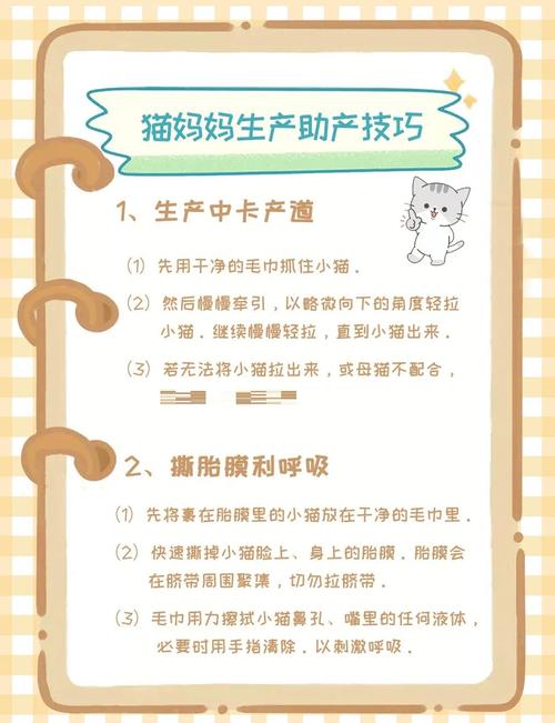 猫咪生产需要注意什么_猫咪生产需要注意什么?-第5张图片-后鲨宠物 猫咪生产需要注意什么_猫咪生产需要注意什么?-第5张图片-后鲨宠物