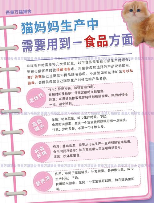 猫咪生产需要注意什么_猫咪生产需要注意什么?-第6张图片-后鲨宠物 猫咪生产需要注意什么_猫咪生产需要注意什么?-第6张图片-后鲨宠物