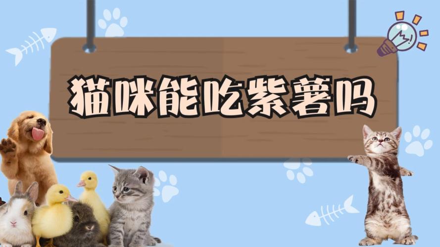 猫咪可以吃紫薯吗,小猫咪可以吃紫薯吗?-第4张图片-后鲨宠物 猫咪可以吃紫薯吗,小猫咪可以吃紫薯吗?-第4张图片-后鲨宠物