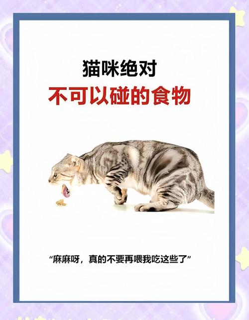 猫咪饮食注意事项_猫猫饮食注意-第3张图片-后鲨宠物 猫咪饮食注意事项_猫猫饮食注意-第3张图片-后鲨宠物