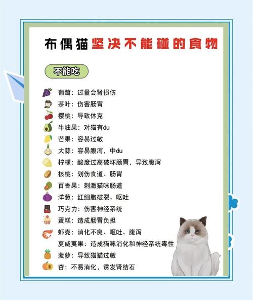 猫咪饮食注意事项_猫猫饮食注意-第5张图片-后鲨宠物 猫咪饮食注意事项_猫猫饮食注意-第5张图片-后鲨宠物