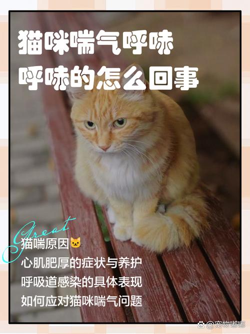 猫咪喘气声音大,猫咪喘气声音大而且粗?-第3张图片-后鲨宠物 猫咪喘气声音大,猫咪喘气声音大而且粗?-第3张图片-后鲨宠物