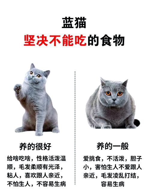 猫猫能吃水果吗,猫可以食水果吗-第2张图片-后鲨宠物 猫猫能吃水果吗,猫可以食水果吗-第2张图片-后鲨宠物
