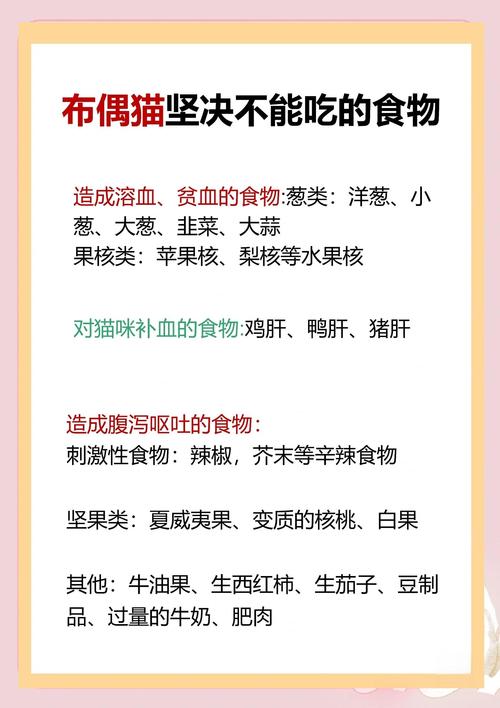 猫猫能吃水果吗,猫可以食水果吗-第3张图片-后鲨宠物 猫猫能吃水果吗,猫可以食水果吗-第3张图片-后鲨宠物