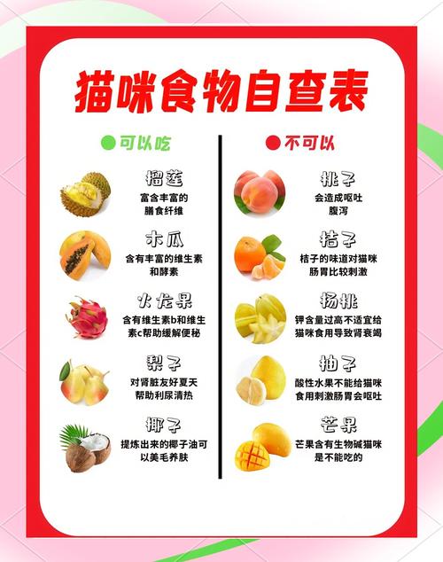 猫猫能吃水果吗,猫可以食水果吗-第4张图片-后鲨宠物 猫猫能吃水果吗,猫可以食水果吗-第4张图片-后鲨宠物