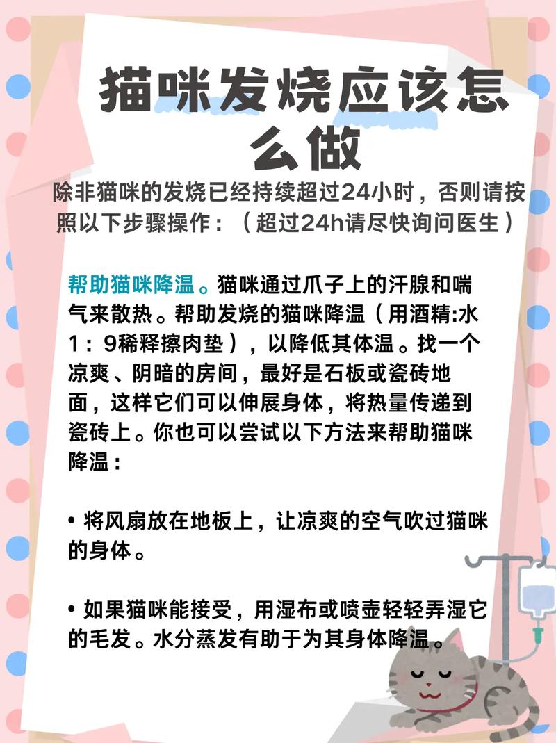 猫咪感冒怎么治疗,猫咪感冒怎么治疗最快?-第3张图片-后鲨宠物 猫咪感冒怎么治疗,猫咪感冒怎么治疗最快?-第3张图片-后鲨宠物