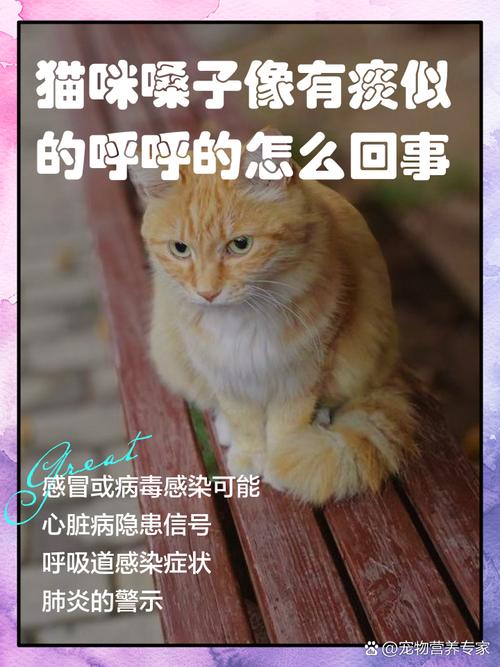  猫咪喉咙里呼噜呼噜的，猫咪喉咙里呼噜呼噜的怎么办-第2张图片-后鲨宠物
