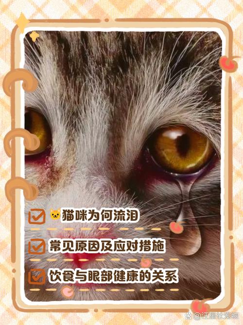 猫咪流黄色眼泪_小猫咪流黄眼泪-第1张图片-后鲨宠物 猫咪流黄色眼泪_小猫咪流黄眼泪-第1张图片-后鲨宠物