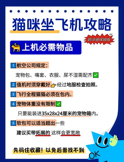 猫咪可以坐飞机吗,猫猫可以坐飞机嘛-第2张图片-后鲨宠物 猫咪可以坐飞机吗,猫猫可以坐飞机嘛-第2张图片-后鲨宠物