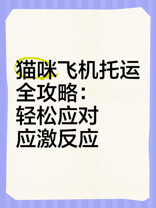 猫咪可以坐飞机吗,猫猫可以坐飞机嘛-第3张图片-后鲨宠物 猫咪可以坐飞机吗,猫猫可以坐飞机嘛-第3张图片-后鲨宠物