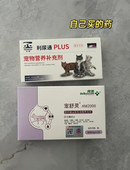 猫咪膀胱炎怎么治疗,猫咪膀胱炎治疗费用?-第1张图片-后鲨宠物 猫咪膀胱炎怎么治疗,猫咪膀胱炎治疗费用?-第1张图片-后鲨宠物