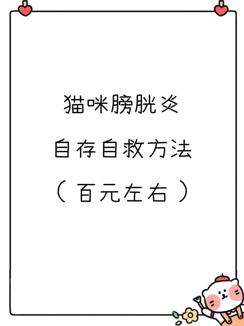 猫咪膀胱炎怎么治疗,猫咪膀胱炎治疗费用?-第5张图片-后鲨宠物 猫咪膀胱炎怎么治疗,猫咪膀胱炎治疗费用?-第5张图片-后鲨宠物