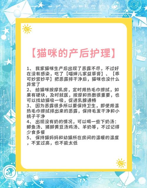 猫咪生宝宝后怎么照顾_猫咪生宝宝后要注意什么-第2张图片-后鲨宠物 猫咪生宝宝后怎么照顾_猫咪生宝宝后要注意什么-第2张图片-后鲨宠物