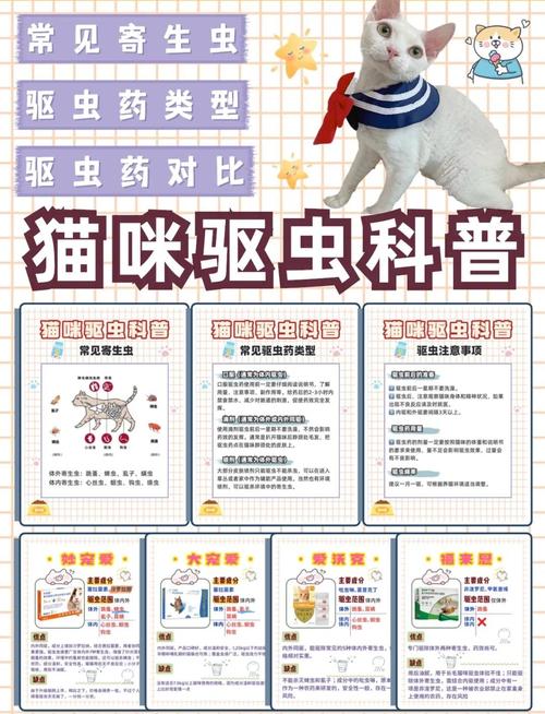 猫咪体内驱虫药怎么吃_猫咪体内驱虫药怎么吃,驱一次虫吃多少-第1张图片-后鲨宠物
