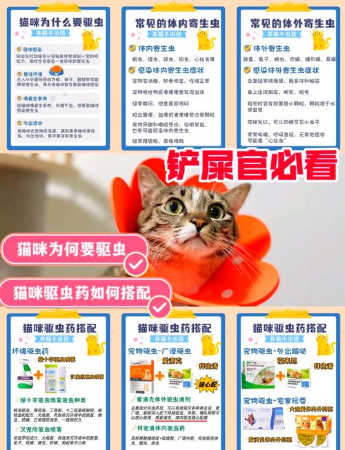 猫咪体内驱虫药怎么吃_猫咪体内驱虫药怎么吃,驱一次虫吃多少-第6张图片-后鲨宠物