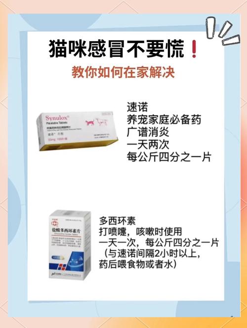 猫咪感冒药推荐_猫咪常备感冒药-第1张图片-后鲨宠物 猫咪感冒药推荐_猫咪常备感冒药-第1张图片-后鲨宠物
