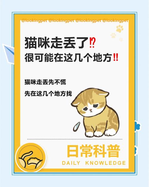 猫咪走丢了一般会在哪,民间传说猫丢了预示着什么-第1张图片-后鲨宠物 猫咪走丢了一般会在哪,民间传说猫丢了预示着什么-第1张图片-后鲨宠物