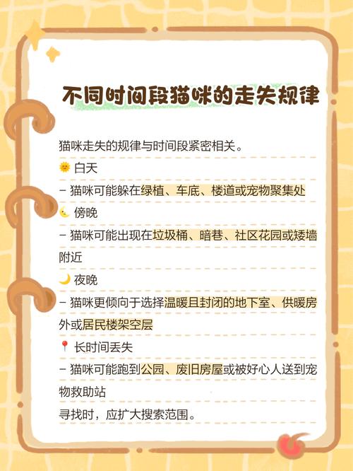 猫咪走丢了一般会在哪,民间传说猫丢了预示着什么-第2张图片-后鲨宠物 猫咪走丢了一般会在哪,民间传说猫丢了预示着什么-第2张图片-后鲨宠物