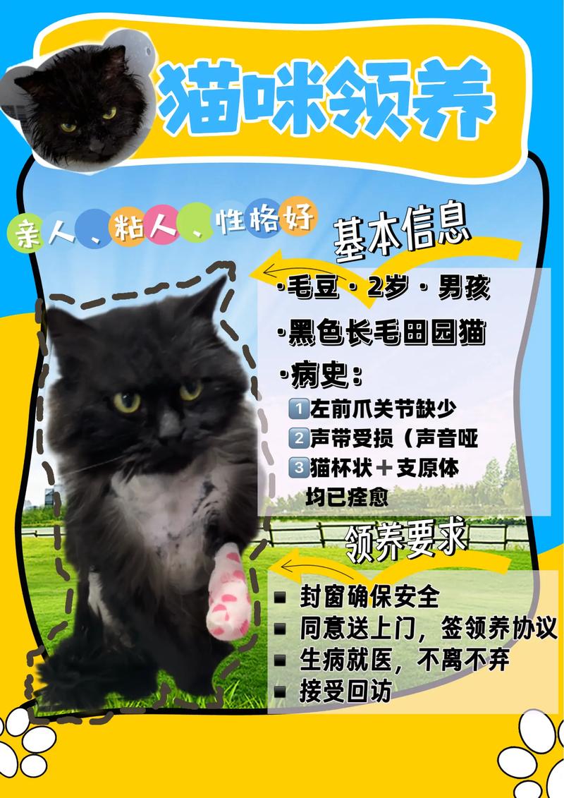 猫咪领养合同协议书范本_猫咪领养合同协议书范本 标准版-第2张图片-后鲨宠物 猫咪领养合同协议书范本_猫咪领养合同协议书范本 标准版-第2张图片-后鲨宠物