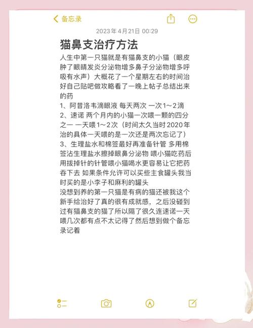猫咪打针多少钱,猫咪打针费用多少?-第1张图片-后鲨宠物 猫咪打针多少钱,猫咪打针费用多少?-第1张图片-后鲨宠物