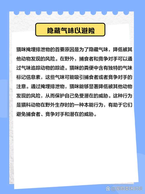 猫咪为什么会埋屎_猫咪为什么会埋屎埋尿-第5张图片-后鲨宠物