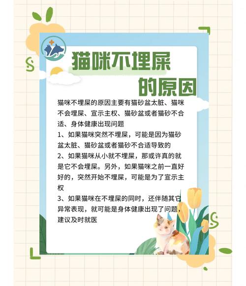 猫咪为什么会埋屎_猫咪为什么会埋屎埋尿-第6张图片-后鲨宠物