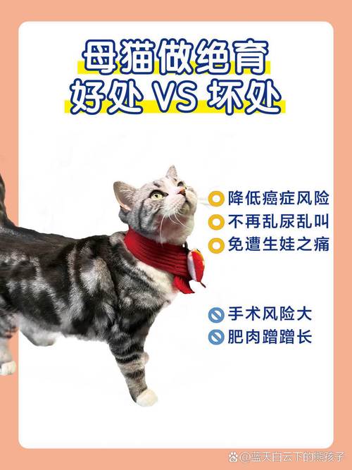 猫咪绝育有什么好处_猫咪绝育有什么好处和坏处-第3张图片-后鲨宠物 猫咪绝育有什么好处_猫咪绝育有什么好处和坏处-第3张图片-后鲨宠物