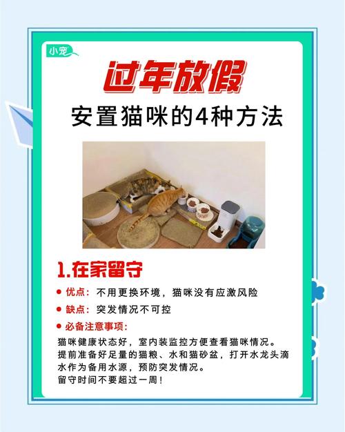 过年猫咪怎么办_过年过节猫咪怎么办-第4张图片-后鲨宠物 过年猫咪怎么办_过年过节猫咪怎么办-第4张图片-后鲨宠物