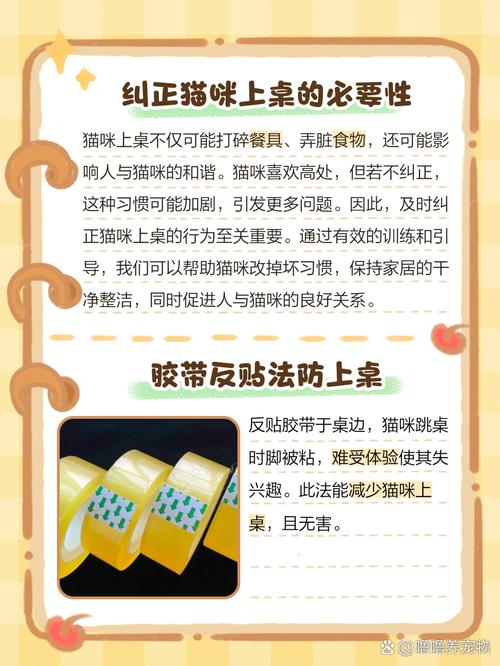 如何阻止猫咪上桌子,防止猫咪上桌子小妙招-第4张图片-后鲨宠物 如何阻止猫咪上桌子,防止猫咪上桌子小妙招-第4张图片-后鲨宠物