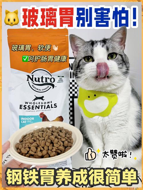 猫咪肠胃不好吃什么猫粮_猫咪肠胃不好吃啥猫粮-第5张图片-后鲨宠物 猫咪肠胃不好吃什么猫粮_猫咪肠胃不好吃啥猫粮-第5张图片-后鲨宠物