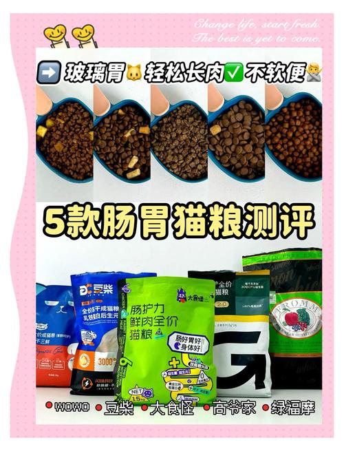 猫咪肠胃不好吃什么猫粮_猫咪肠胃不好吃啥猫粮-第6张图片-后鲨宠物 猫咪肠胃不好吃什么猫粮_猫咪肠胃不好吃啥猫粮-第6张图片-后鲨宠物