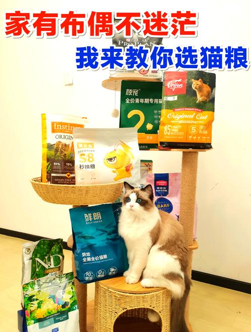 猫咪一直吃猫粮好吗_猫一直吃猫粮行不行-第1张图片-后鲨宠物 猫咪一直吃猫粮好吗_猫一直吃猫粮行不行-第1张图片-后鲨宠物