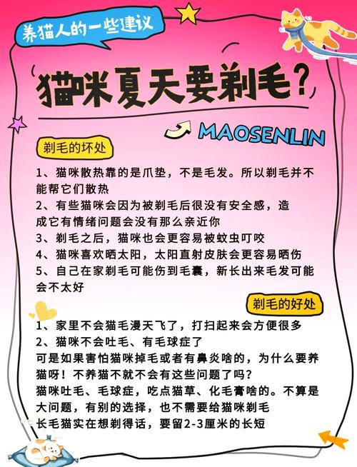  猫咪剃毛的好处，猫咪剃毛的好处坏处
