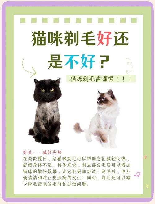  猫咪剃毛的好处，猫咪剃毛的好处坏处-第3张图片-后鲨宠物