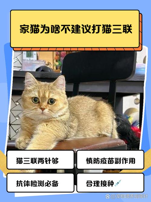 猫咪要不要打疫苗，猫咪用打疫苗吗？-第2张图片-后鲨宠物