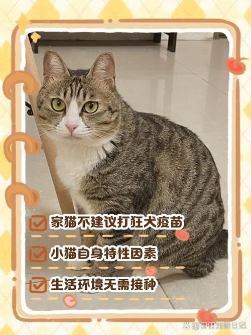 猫咪要不要打疫苗，猫咪用打疫苗吗？-第3张图片-后鲨宠物