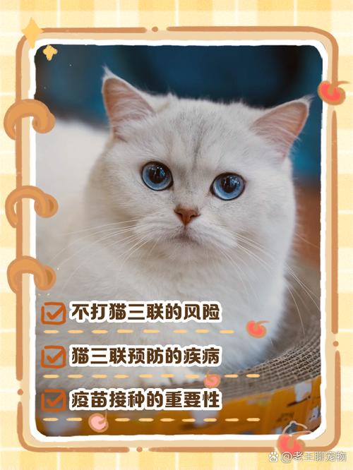 猫咪要不要打疫苗，猫咪用打疫苗吗？-第5张图片-后鲨宠物