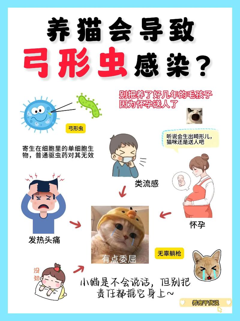 猫咪弓形虫怎么治疗,猫咪弓形虫怎么治疗最快-第1张图片-后鲨宠物 猫咪弓形虫怎么治疗,猫咪弓形虫怎么治疗最快-第1张图片-后鲨宠物