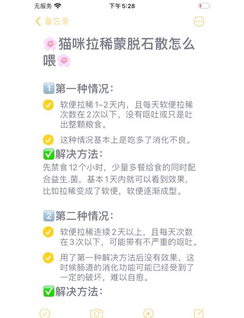 猫咪上吐下泻怎么办_猫咪上吐下泻怎么办最有效最及时-第2张图片-后鲨宠物