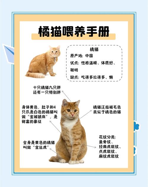 猫咪能不能喝牛奶_猫咪能不能喝牛奶和鸡蛋-第4张图片-后鲨宠物
