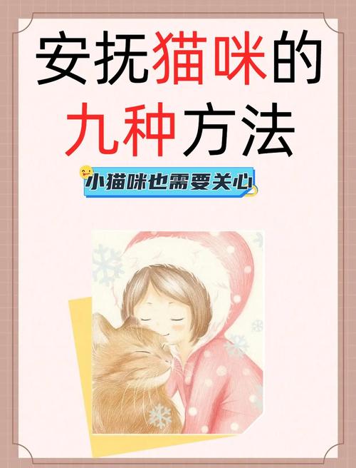 猫咪受到惊吓怎么安抚，猫咪受惊吓了怎么安抚？-第2张图片-后鲨宠物