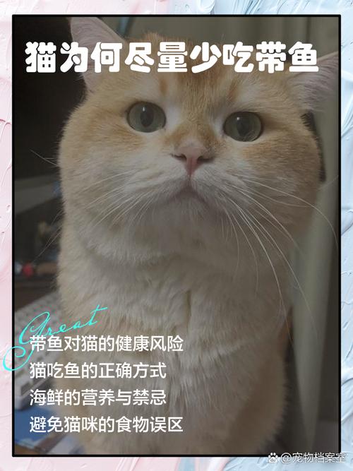 猫咪能吃带鱼吗,猫能吃带鱼吗,会卡住吗?-第5张图片-后鲨宠物 猫咪能吃带鱼吗,猫能吃带鱼吗,会卡住吗?-第5张图片-后鲨宠物
