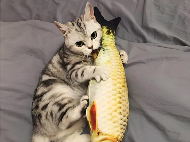 猫咪能吃带鱼吗,猫能吃带鱼吗,会卡住吗?-第6张图片-后鲨宠物 猫咪能吃带鱼吗,猫能吃带鱼吗,会卡住吗?-第6张图片-后鲨宠物