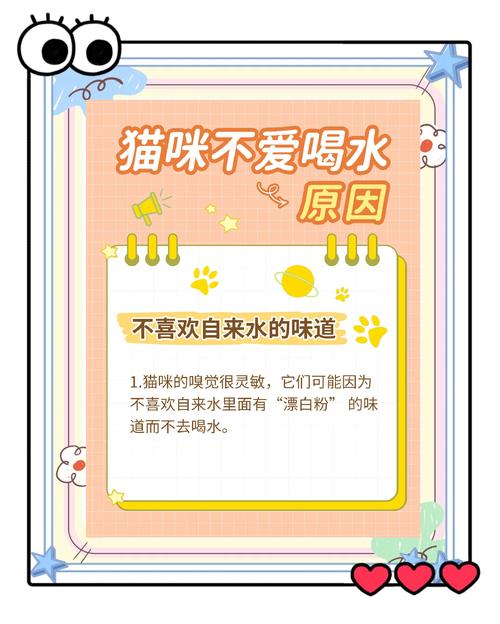 猫咪不喝水怎么办_猫咪不喝水怎么办教你一招搞定-第4张图片-后鲨宠物 猫咪不喝水怎么办_猫咪不喝水怎么办教你一招搞定-第4张图片-后鲨宠物