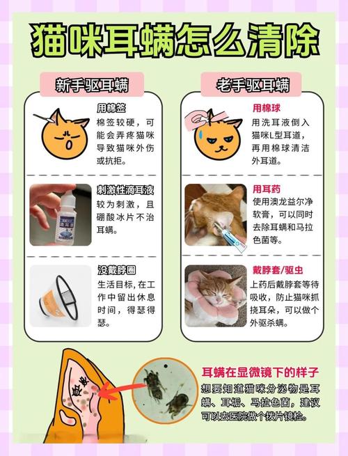 猫咪怎么洗耳朵，猫咪洗耳朵可以用生理盐水吗？